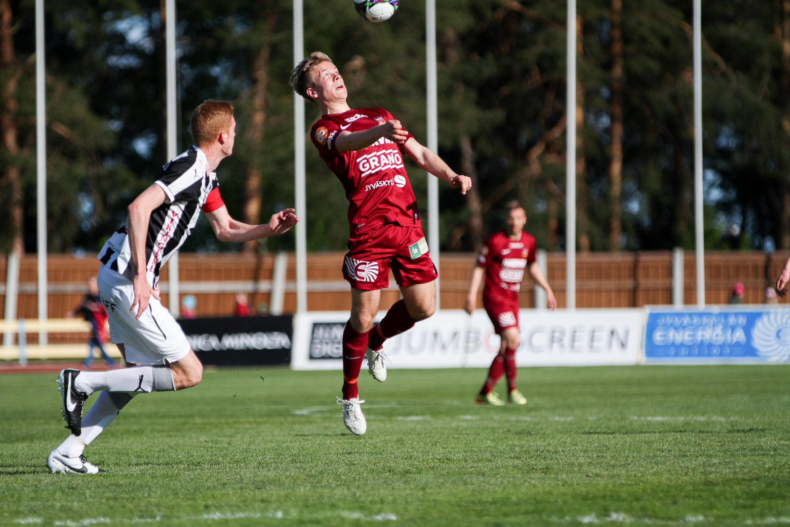Kettulauma valmiina iskemään sarjakärjen kimppuun